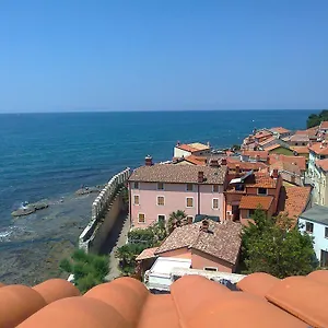 Edo , Novigrad Istria Croazia